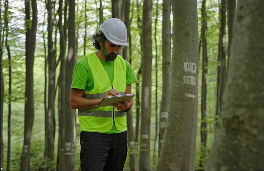 Etude. La transition écologique au cœur de la transformation du monde du travail