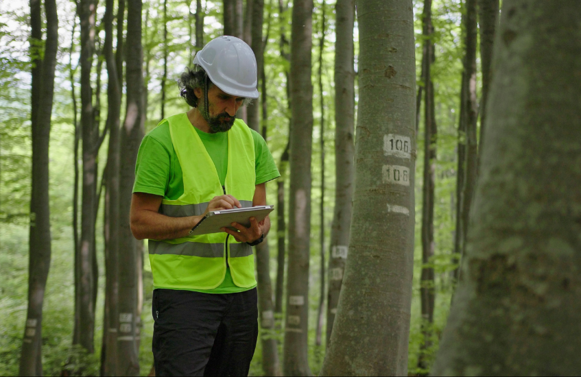 [LIVRE BLANC] Transition écologique des entreprises : l’humain au coeur de la révolution Green